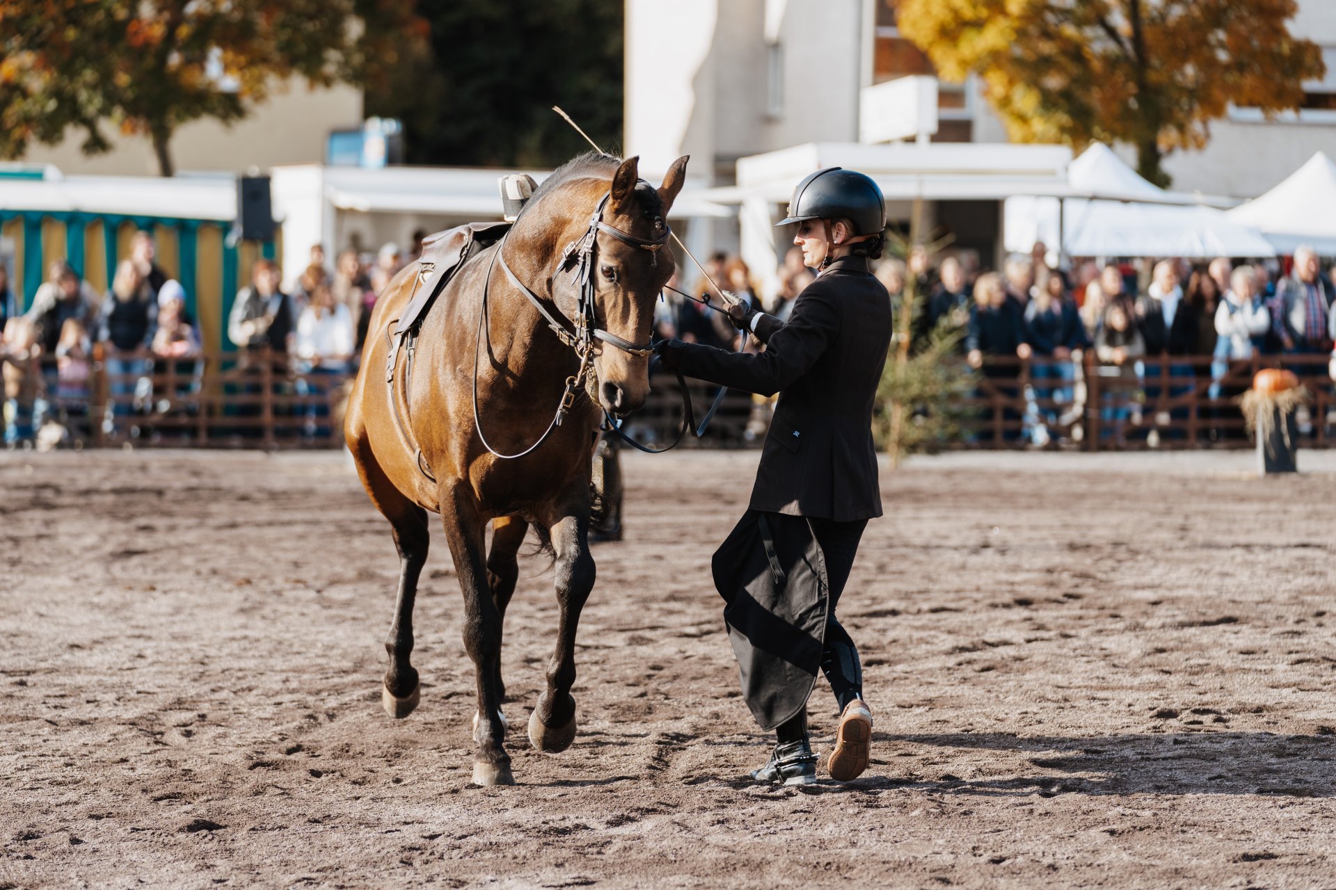 Reiterin neben ihrem Pferd