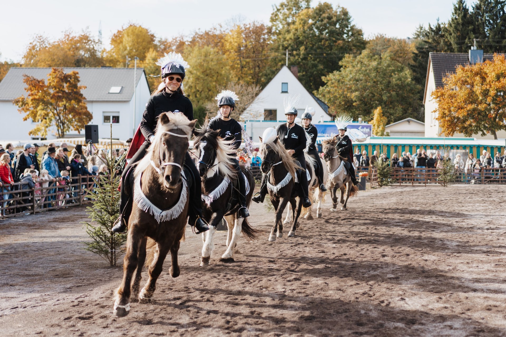 Mehrere Pferde hintereinander im Galopp mit ihren Reiter/innen